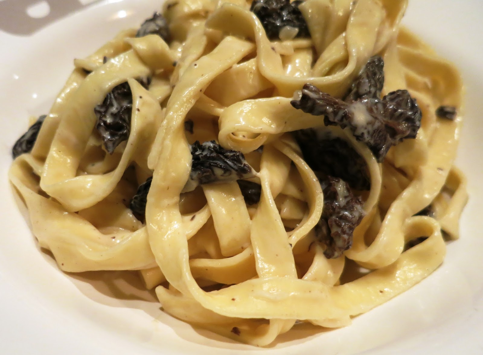 Cuisine solo Tagliatelle aux morilles