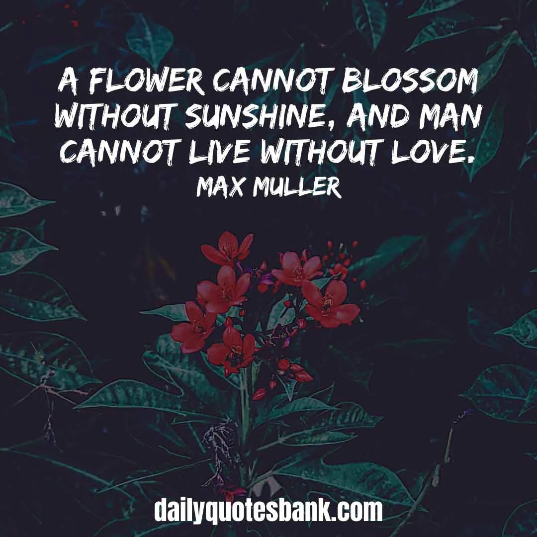 Inspirational Quotes About Blooming Flowers, Trees, Love