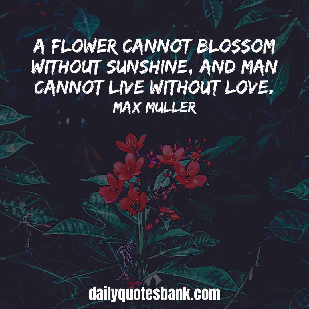 102 Inspirational Quotes About Blooming Flowers, Trees, Love