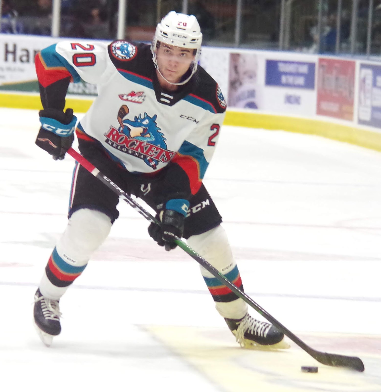 Stadel, Stephens with the Rockets at Memorial Cup - Surrey Now-Leader