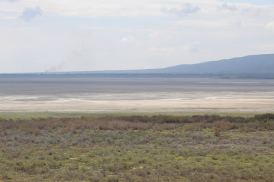 Osiris De León:sequía Laguna de Cabral es “transitoria”; evapora 1,500mm.m² cada año