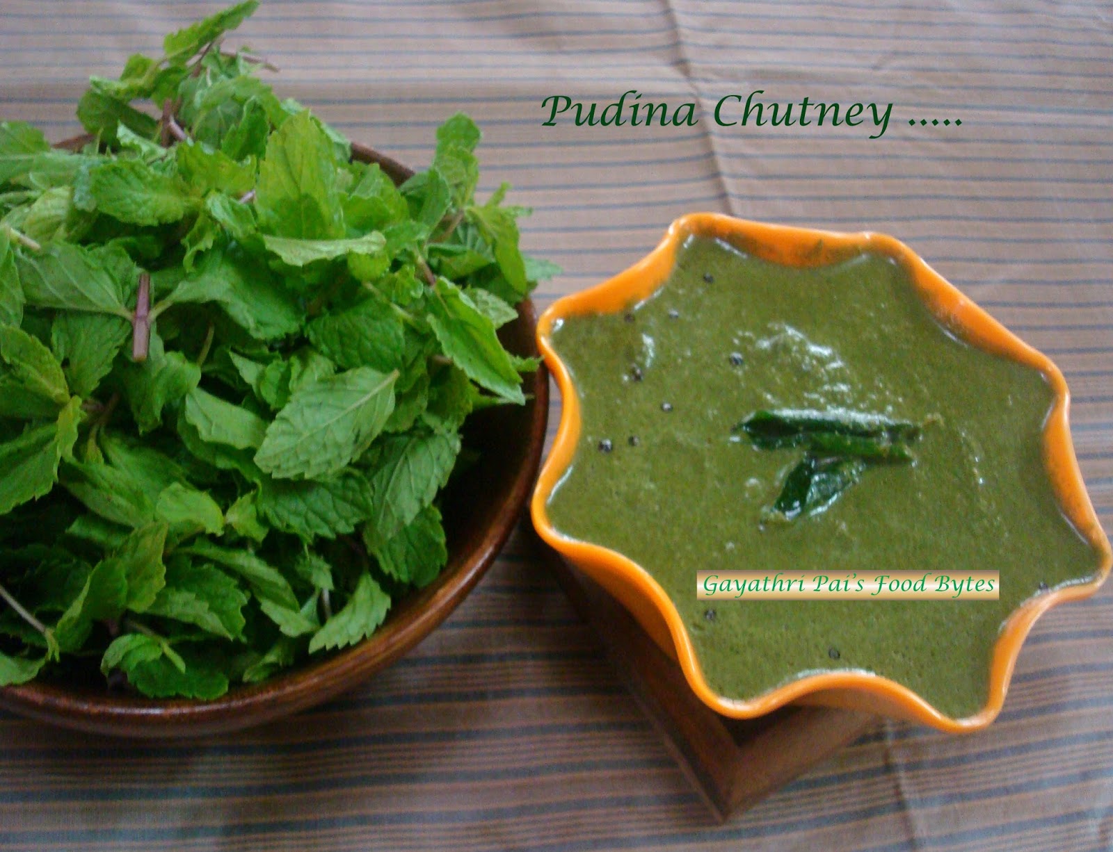 Gayathri Pai's Food Bytes Pudina / Mint Chutney.