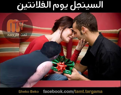 صور مضحكة عن عيد الحب