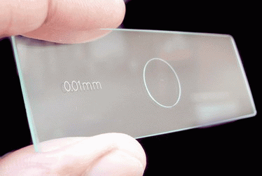 Microscopes Cell Size Ruler ibg102: LAB 2: MEASUREMENT AND COUNTING OF CELLS USING MICROSCOPE