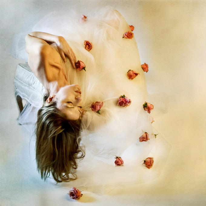 Miriana Mitrovich | Bulgarian-born Canadian photographer | Four Dozen Roses
