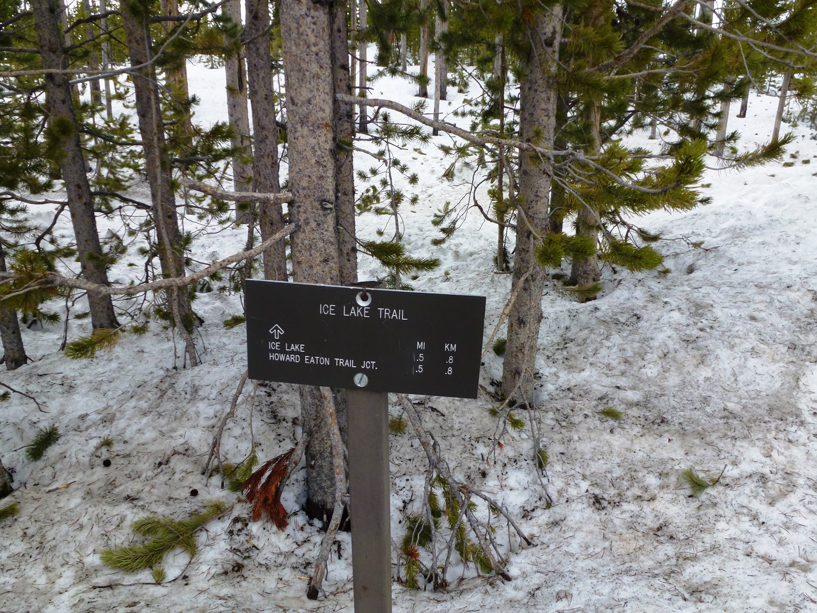 Ice Lake Hike (Yellowstone National Park)