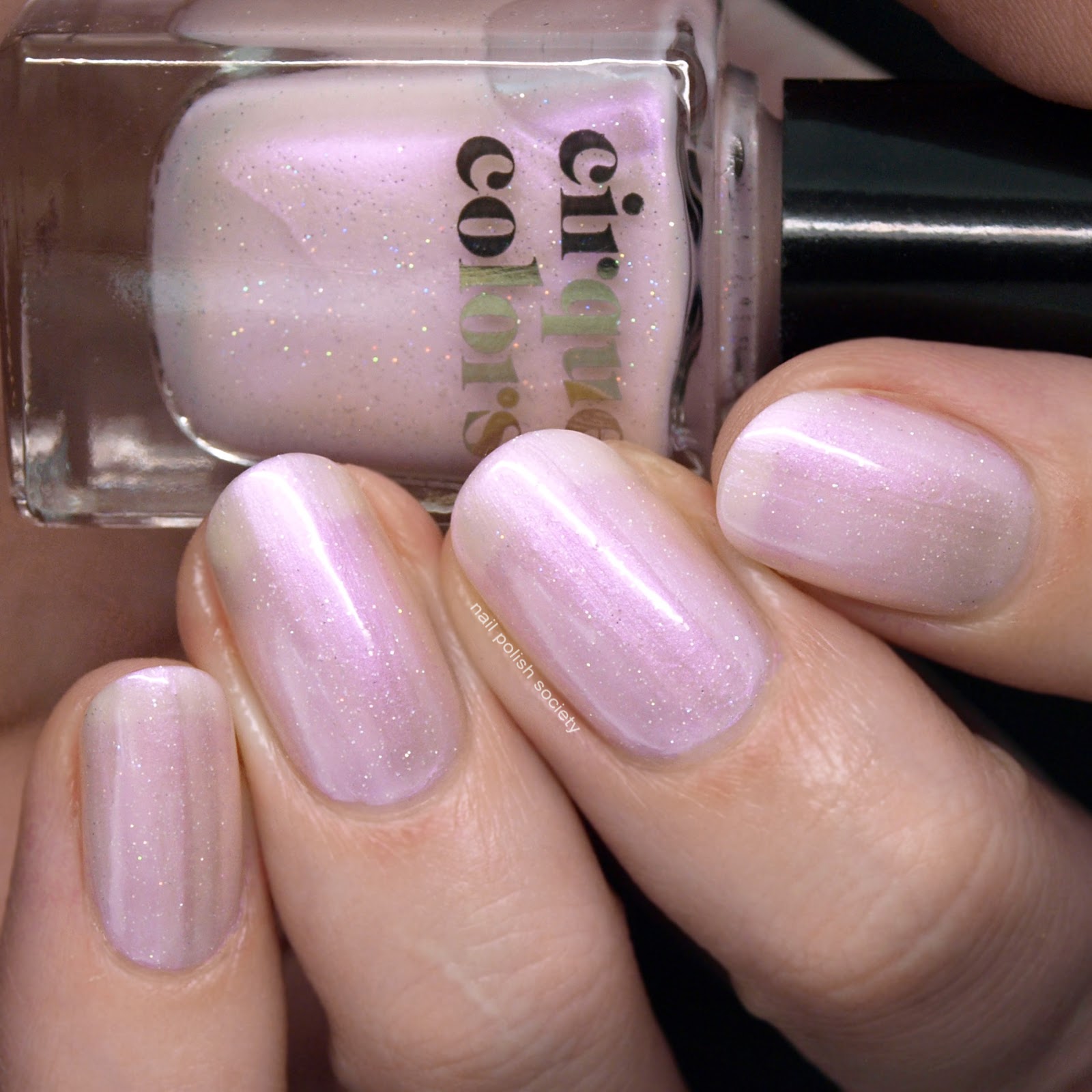 Nail Polish Society Cirque Colors Still Life Collection