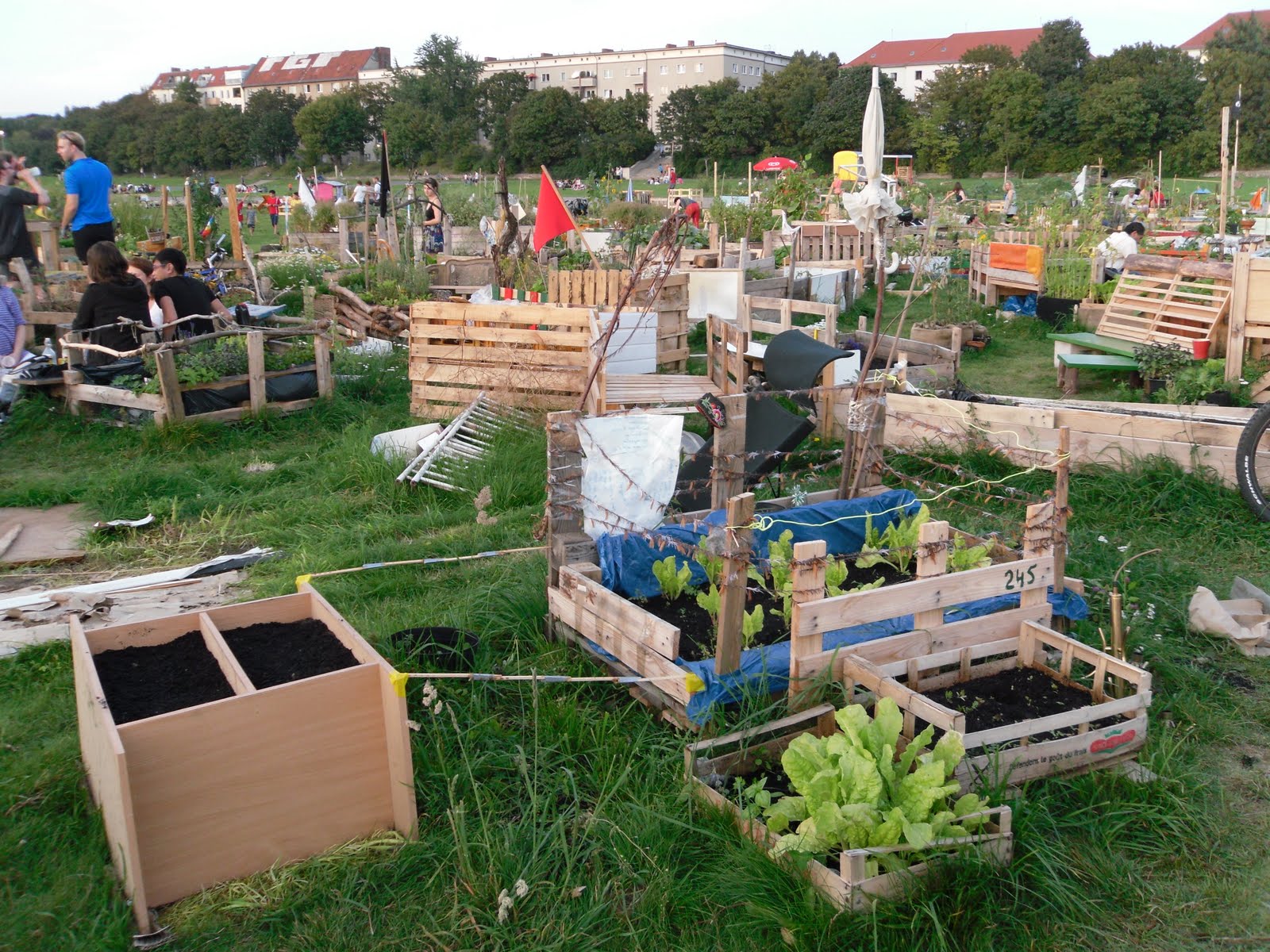 The Art of Thinking Praxis Garten im Tempelhof, Juli
