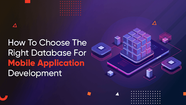 app data base development Multan