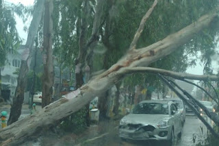 पूरे UP में बारिश का कहर, अब 2 दिनों तक प्राइमरी स्कूल से लेकर यूनिवर्सिटी तक सब बंद पूरे UP में बारिश का कहर, अब 2 दिनों तक प्राइमरी स्कूल से लेकर यूनिवर्सिटी तक सब बंद