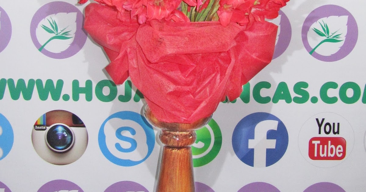 Floristería Hojas Blancas