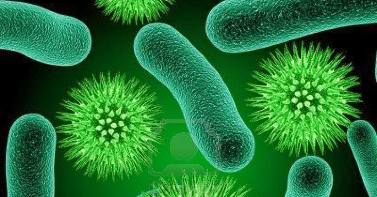 100 TOP Microbiology Multiple Choice Questions and answers | All ...