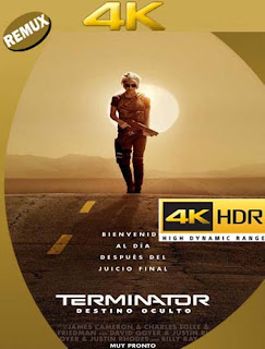 Terminator: Destino Oscuro (2019) 4K REMUX 2160p UHD [HDR] Latino [GoogleDrive]