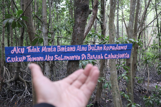 Spot Foto Wisata Mangrove Pandang Tak Jemu Nongsa