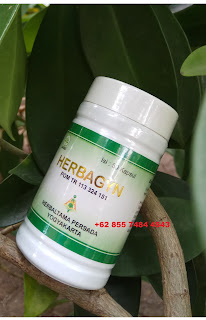 JUAL OBAT HERBAL KOLESTEROL AMPUH JUAL OBAT HERBAL KOLESTEROL AMPUH