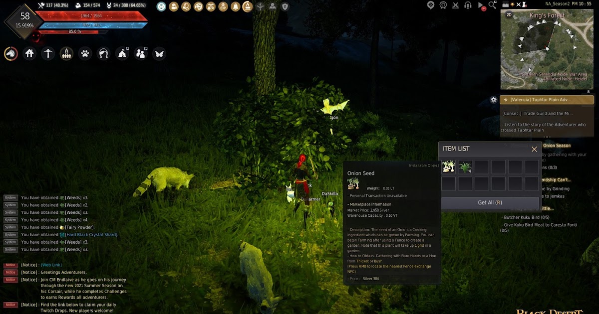 Black Desert Online How to get onion seeds for farming?