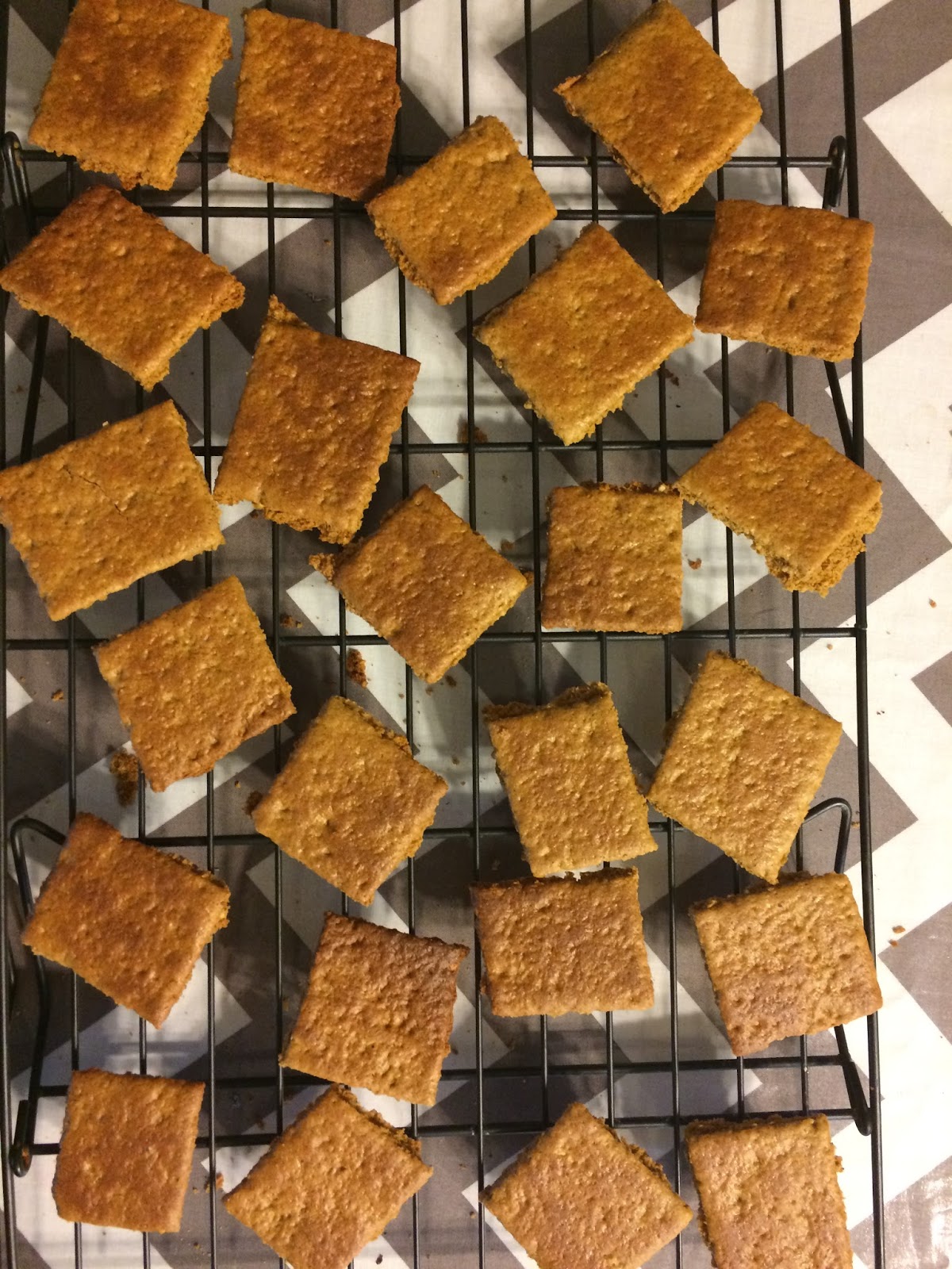 Vegans Have Superpowers GF Vegan Graham Crackers