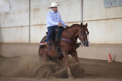 Ombries Perfomance Horses