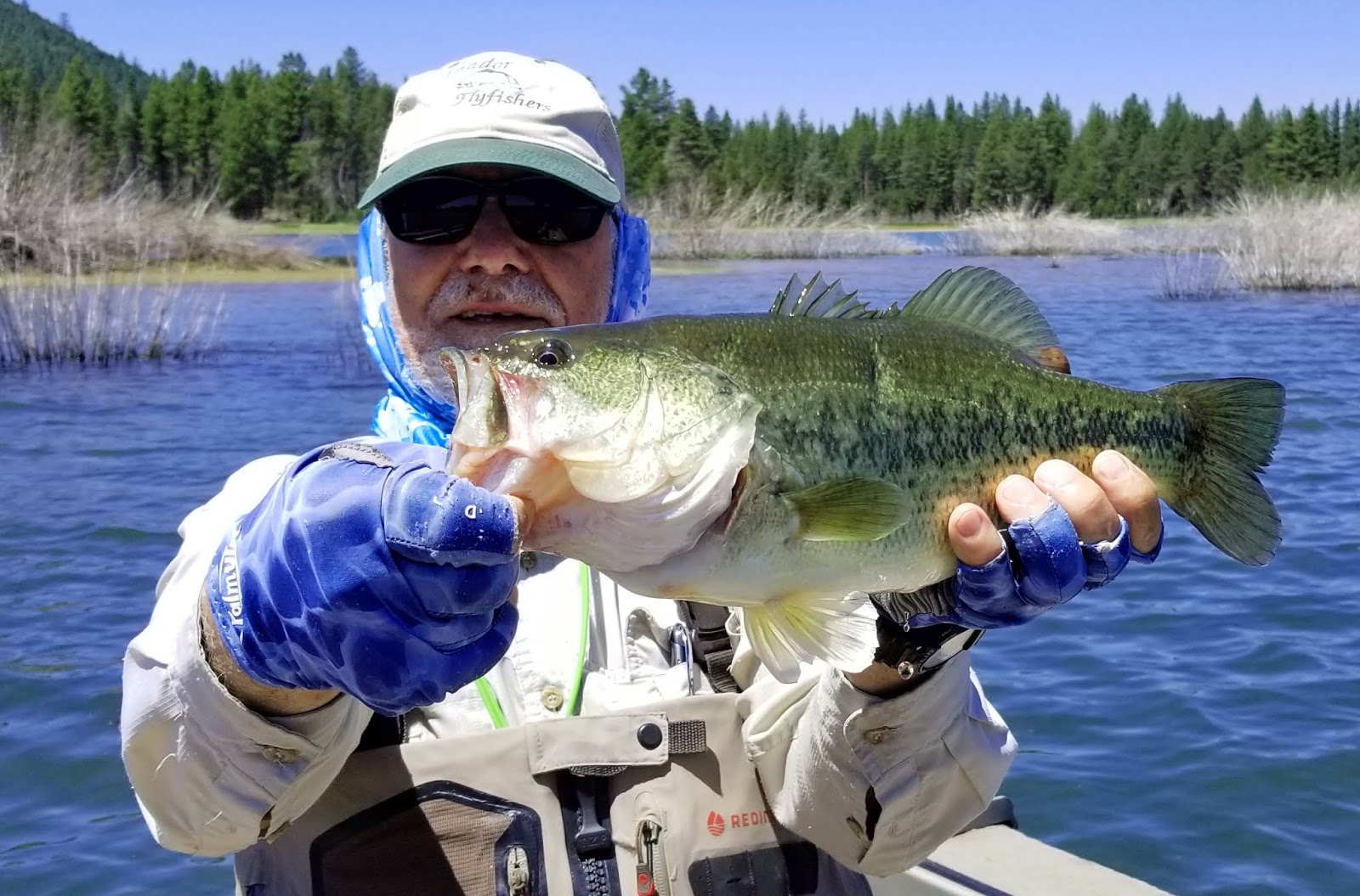 Jon Baiocchi Fly Fishing News Lake Davis & Middle Fork Feather River