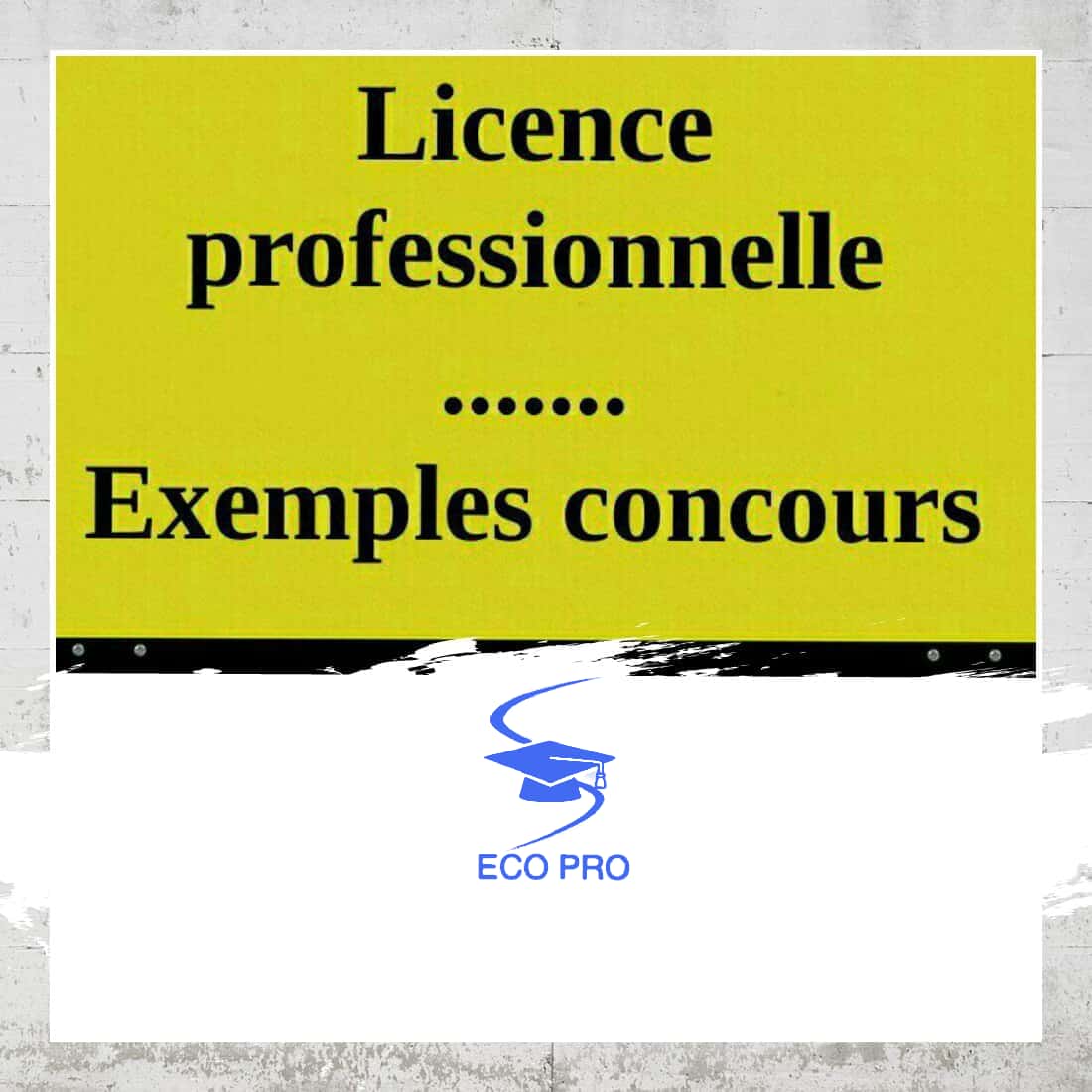 PDF Télécharger exemple concours licence professionnelle informatique pdf Gratuit PDF