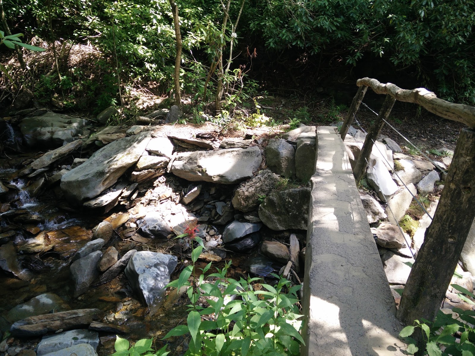 smoky-mountains-things-to-do-in-3-days