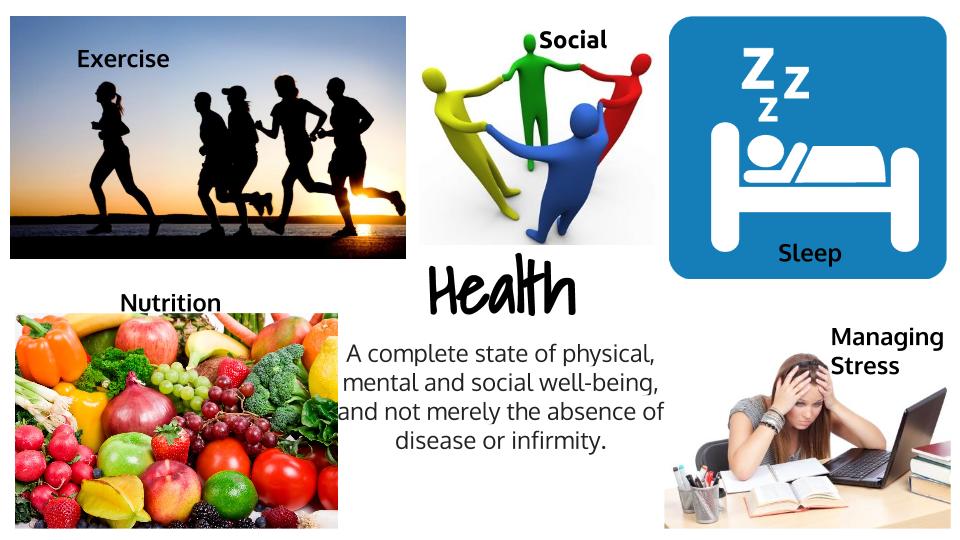 Anatomy and Physiology Blog The 5 Pillars of Health Collage