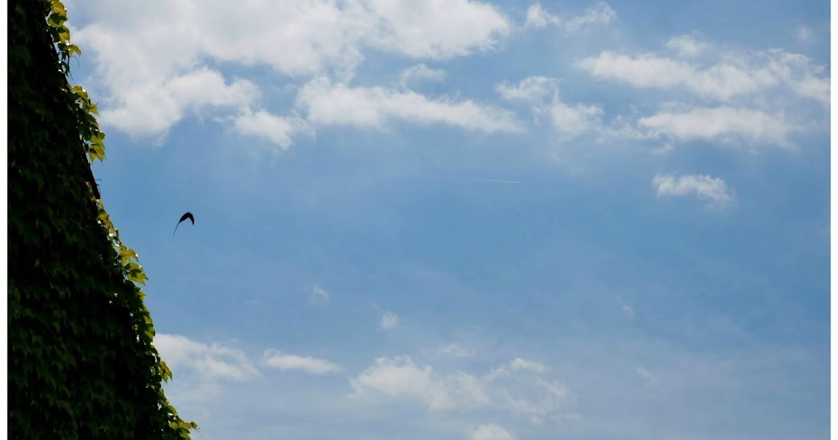 Le Monde De Kitchi Meine 25 Kalenderwoche 2018