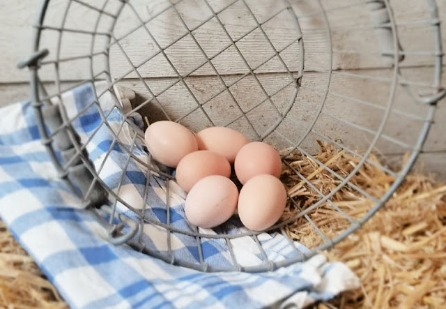 metal basket of eggs
