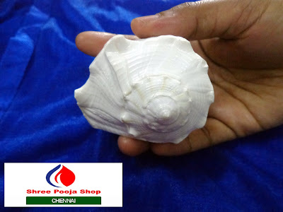 Valampuri Sangu Small Size - 4" Inches Shankh - Shree Pooja Shop - Chennai