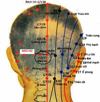 Vị trí huyệt não hộ