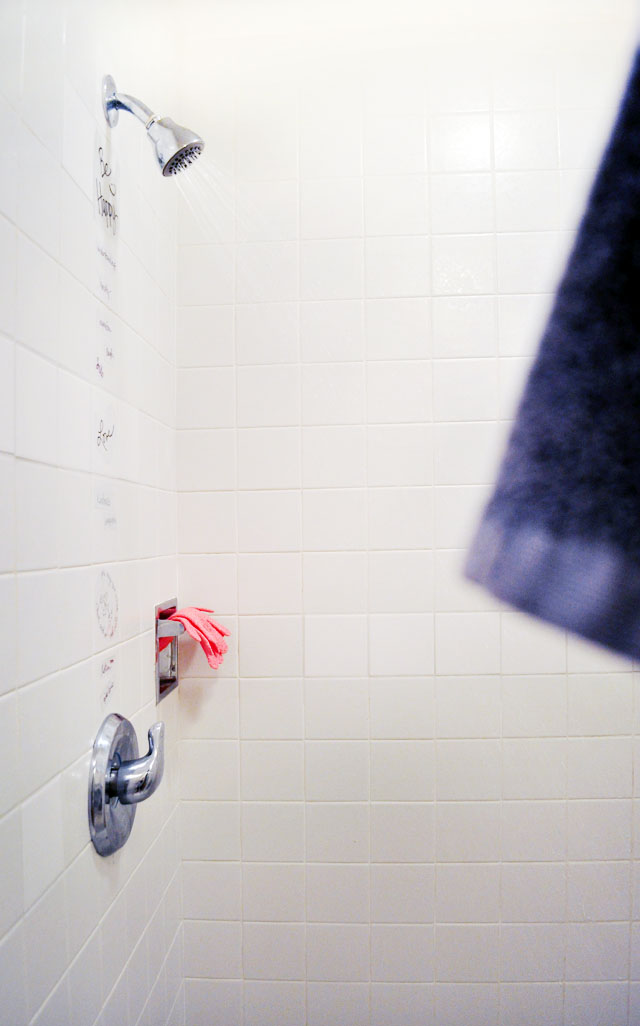 DIY Vinyl Wall Art for your Shower of Bath {Fun for Kids Too}