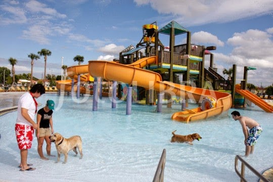 Los cinco mejores parques para perros en Miami