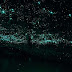 Starry Night Sky Created By Glowworms (11 Pics)