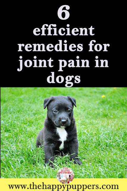 Herbal remedies can work wonders if used the right way Herbal remedies can work wonders if used the right way