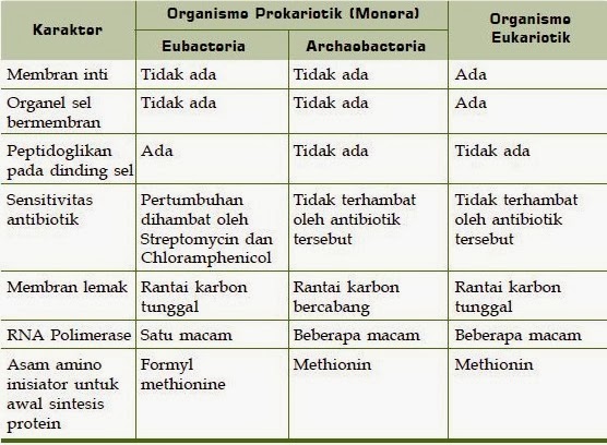 Ciri-ciri kingdom monera yang benar adalah