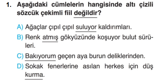 8.Sınıf Türkçe Testleri Fiilimsiler - Harika