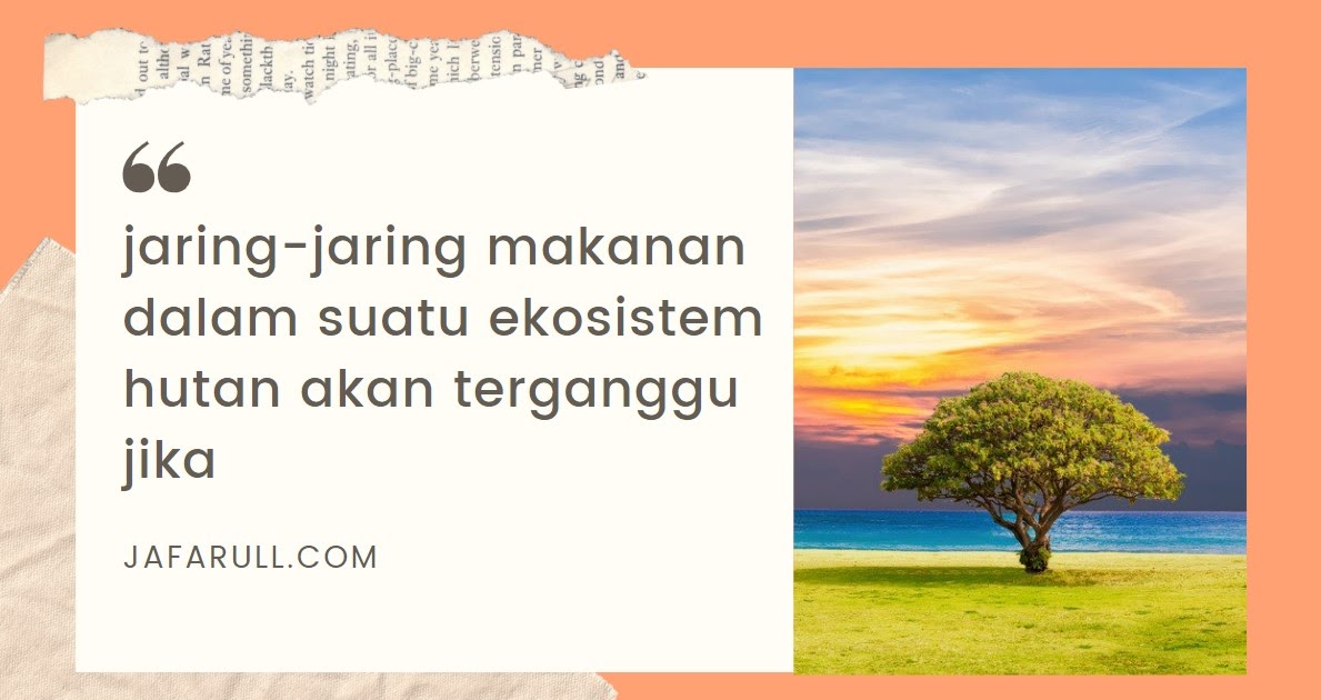 Jaring Jaring Makanan Dalam Suatu Ekosistem Hutan Akan Terganggu Jika Jafarull