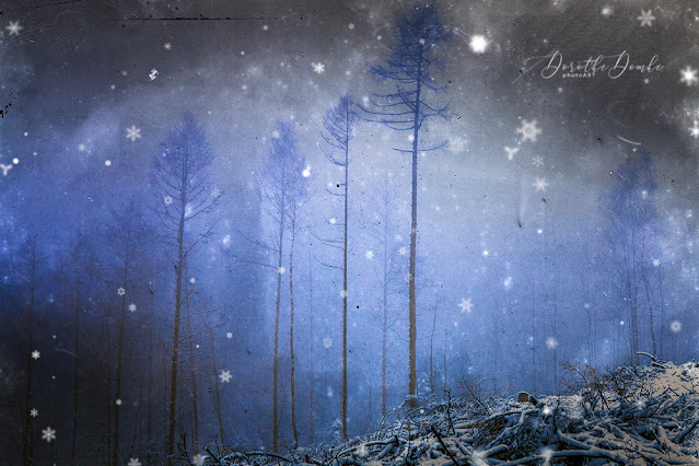 Wintertag, winter, blue, blau, Dorothe Domke, Sauerland, Arnsberg, Fotokunst, textureblend, photoart, art