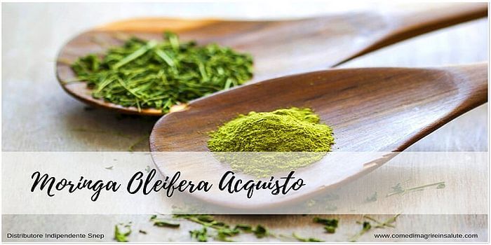 come perdere peso velocemente con semi di moringa