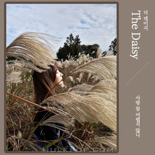 THE DAISY – Love is so hard, isn’t it? – Single