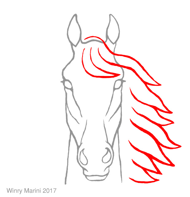 Art and Lore: How to Draw a Horse Head Front View