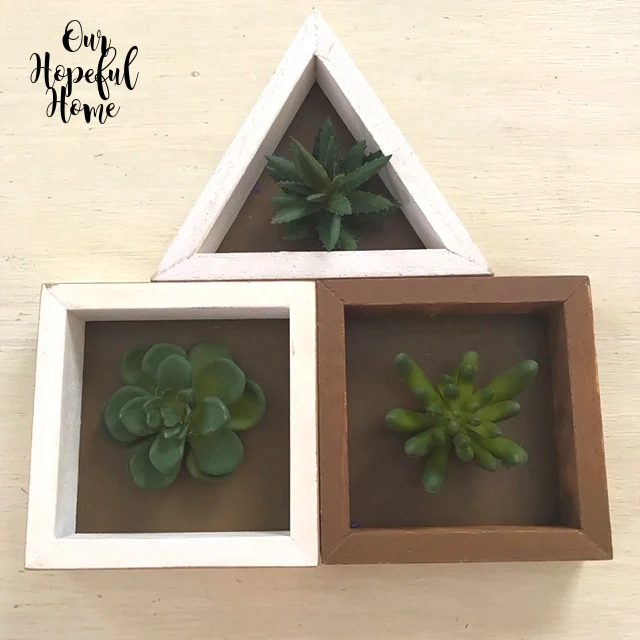 Dollar Tree inexpensive faux succulent cacti white triangle frame brown square frame