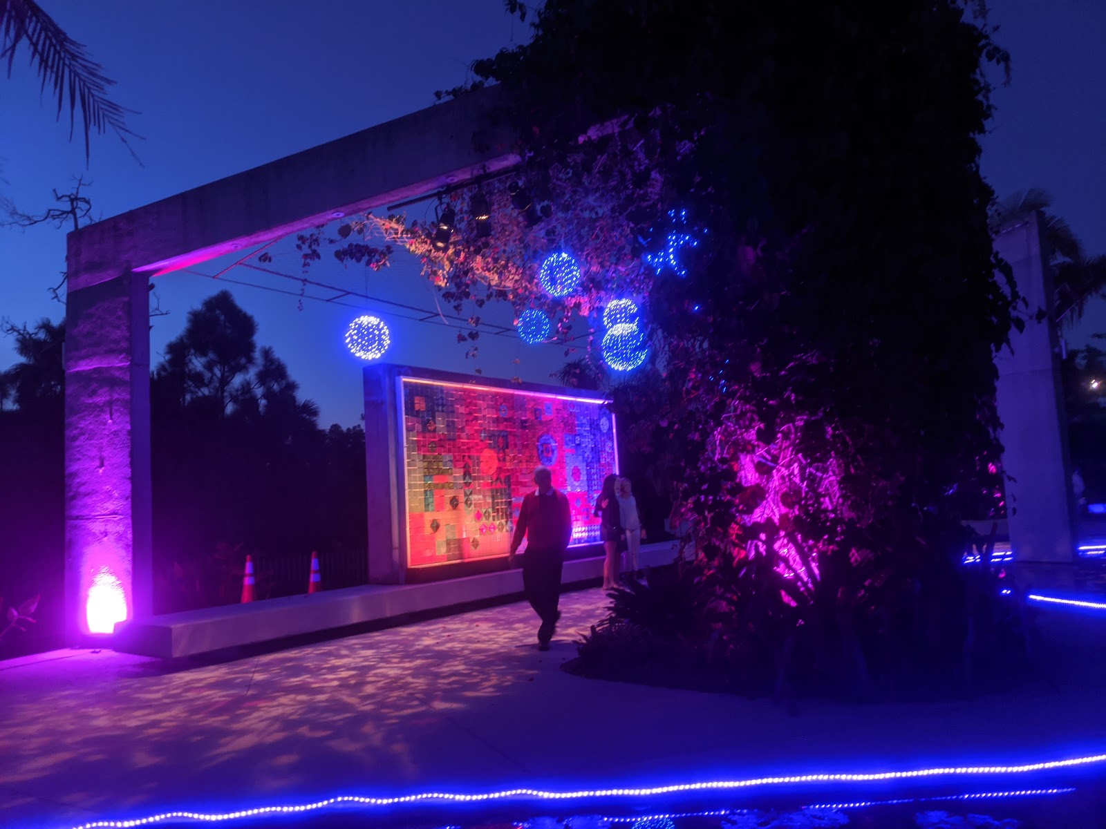 Bird & Travel Photos, Birding Sites, Bird Information NIGHT LIGHTS