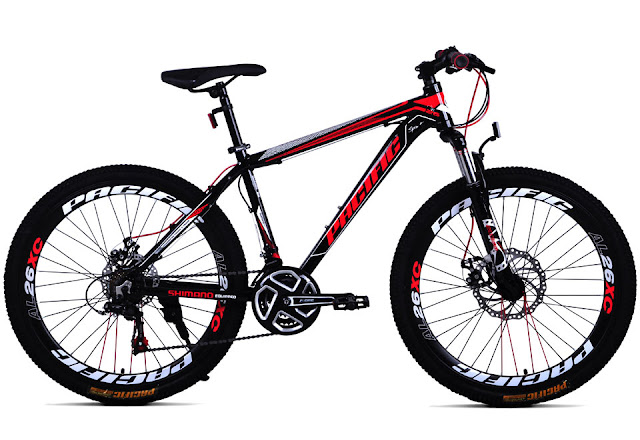 Sepeda MTB PACIFIC INVERT 6.0 Harga Rp : 1.800.000