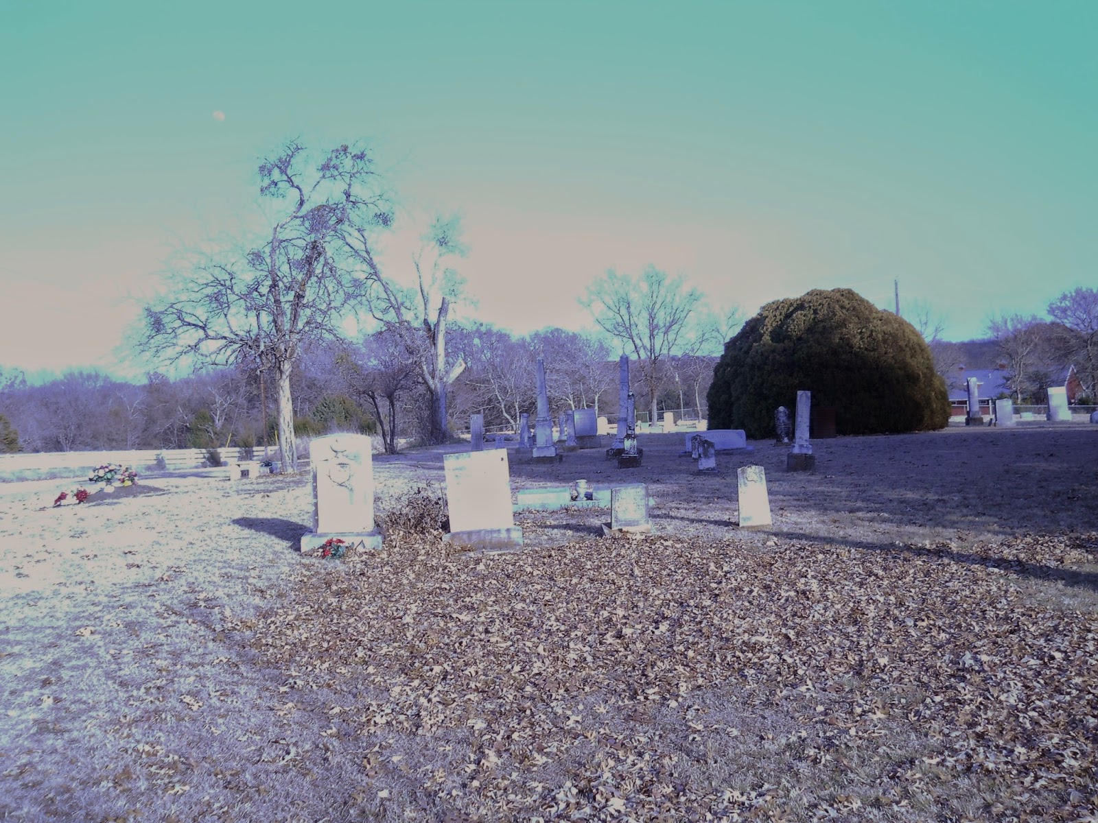 My Emphemeral Rose Alexander Cemetery