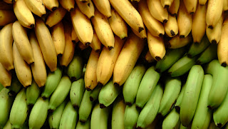 panduan budidaya pisang "panduan_teknik_cara_budiaya_tanaman_buah_pisang_bibit_benih_varietas_unggul_organik_kultur_jaringan_poc_nasa_hormonik_greenstar_power_nutrion_glio_bvr_pestona_pentana_distributor_resmi_pt_natural_nusantara_mengatasi_hama_penyakit"