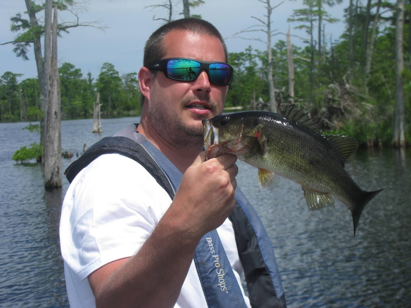 Backwateradventures Outer Banks Bass Fishing