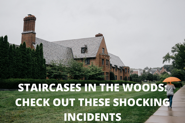 Staircases In The Woods Check Out These Shocking Incidents