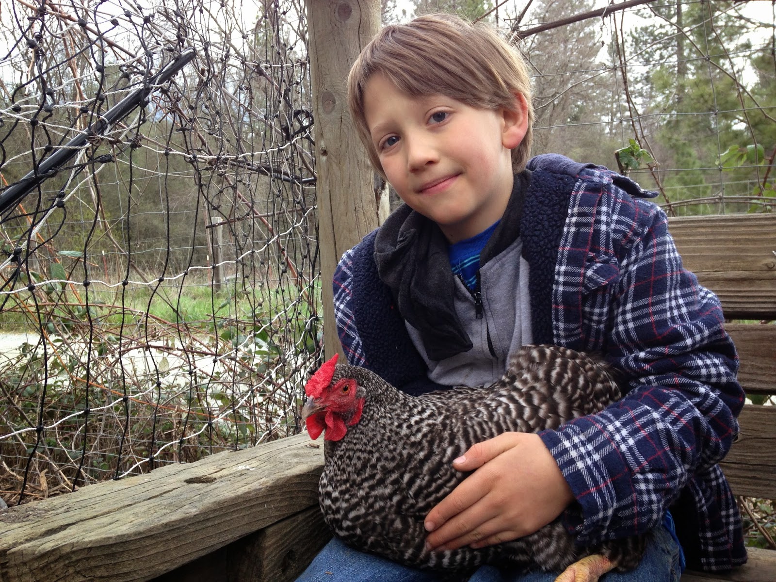 yuba-river-charter-school-home-study-farm-program