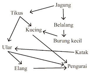 1532946845325_foto.JPG